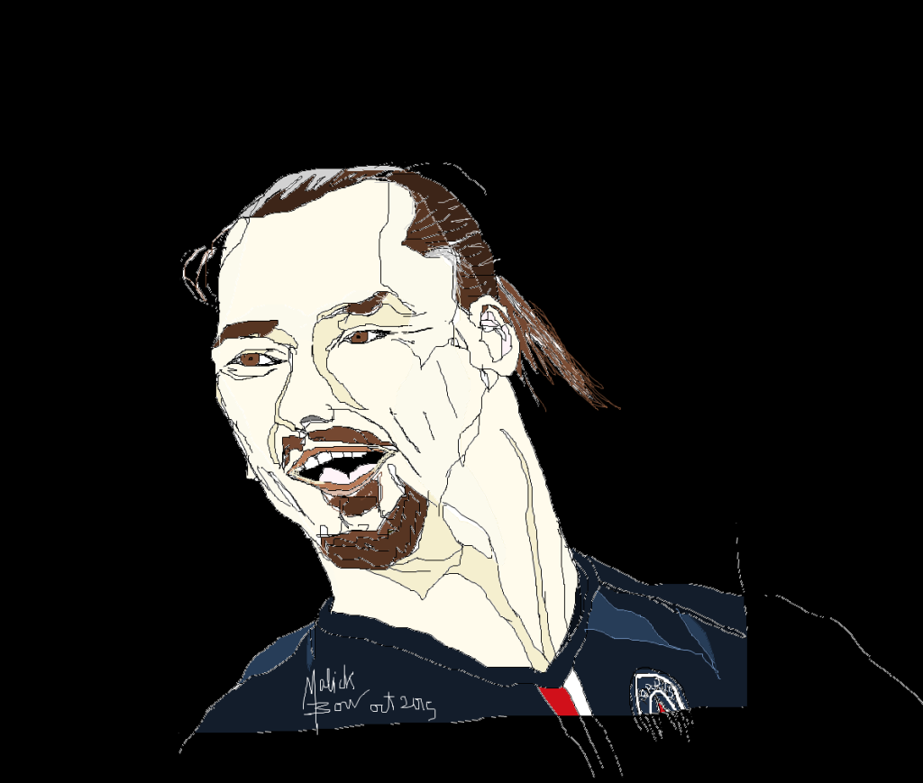 Zlatan IBRAHIMOVIC - © Malick MBOW